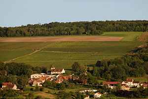 Le vignoble de Fossoy