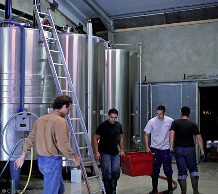 Cuves de fermentation thermor&eacute;gul&eacute;es