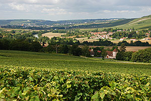 Champagne A.Robert: La Vallée de la Marne