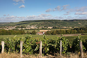 Champagne A. Robert Champagne A.Robert: Champagne A. Robert