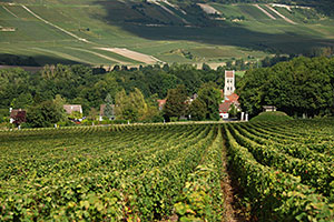 Le village de Fossoy Champagne A.Robert: Le village de Fossoy