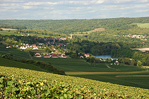 Champagne A.Robert: La Vallée de la Marne à Gland