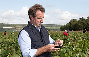 Arnaud Robert Champagne A.Robert: Arnaud Robert