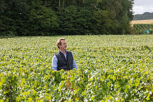 Arnaud Robert Champagne A.Robert: Arnaud Robert